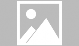 美国在线性爱直播,行业现状与伦理争议