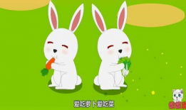 小白兔视频,小白兔的奇幻冒险之旅